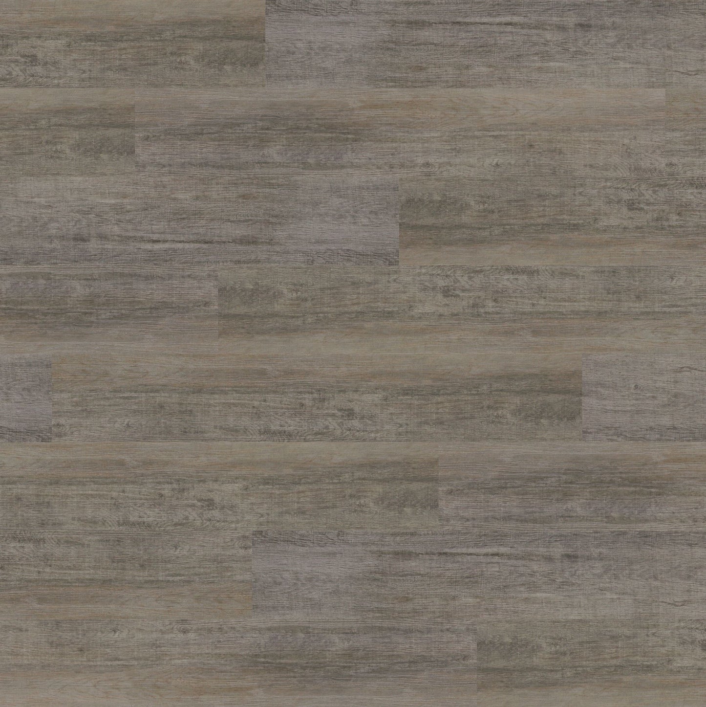 Polyflor Expona Commercial Silvered Driftwood 4014