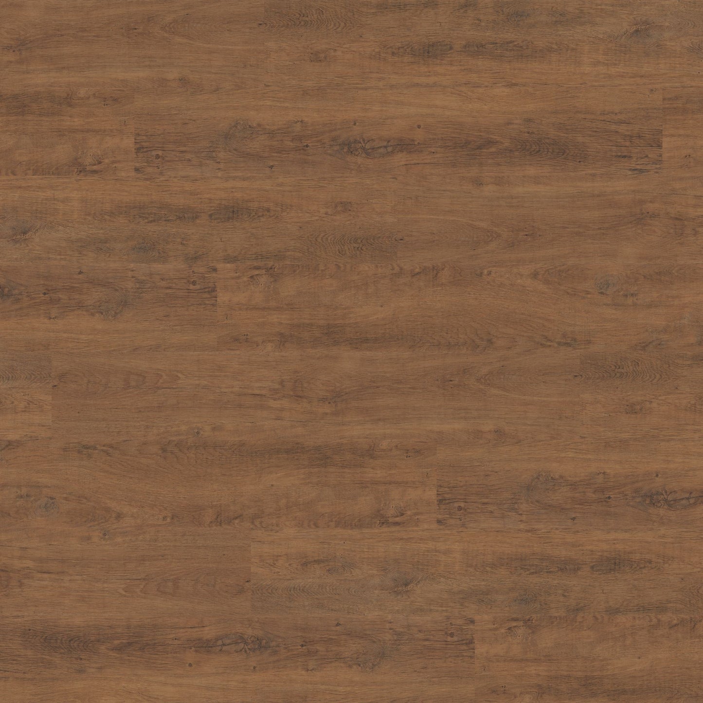 Polyflor Expona Commercial Antique Oak 4016
