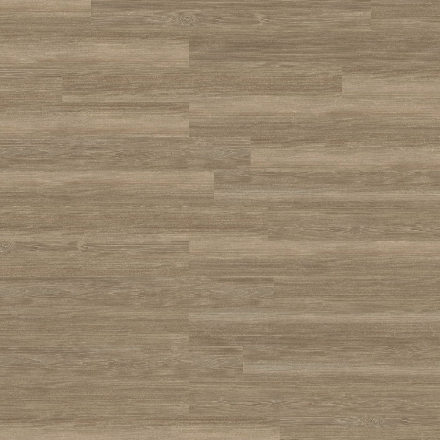 Polyflor Expona Commercial Grey Ash 4020