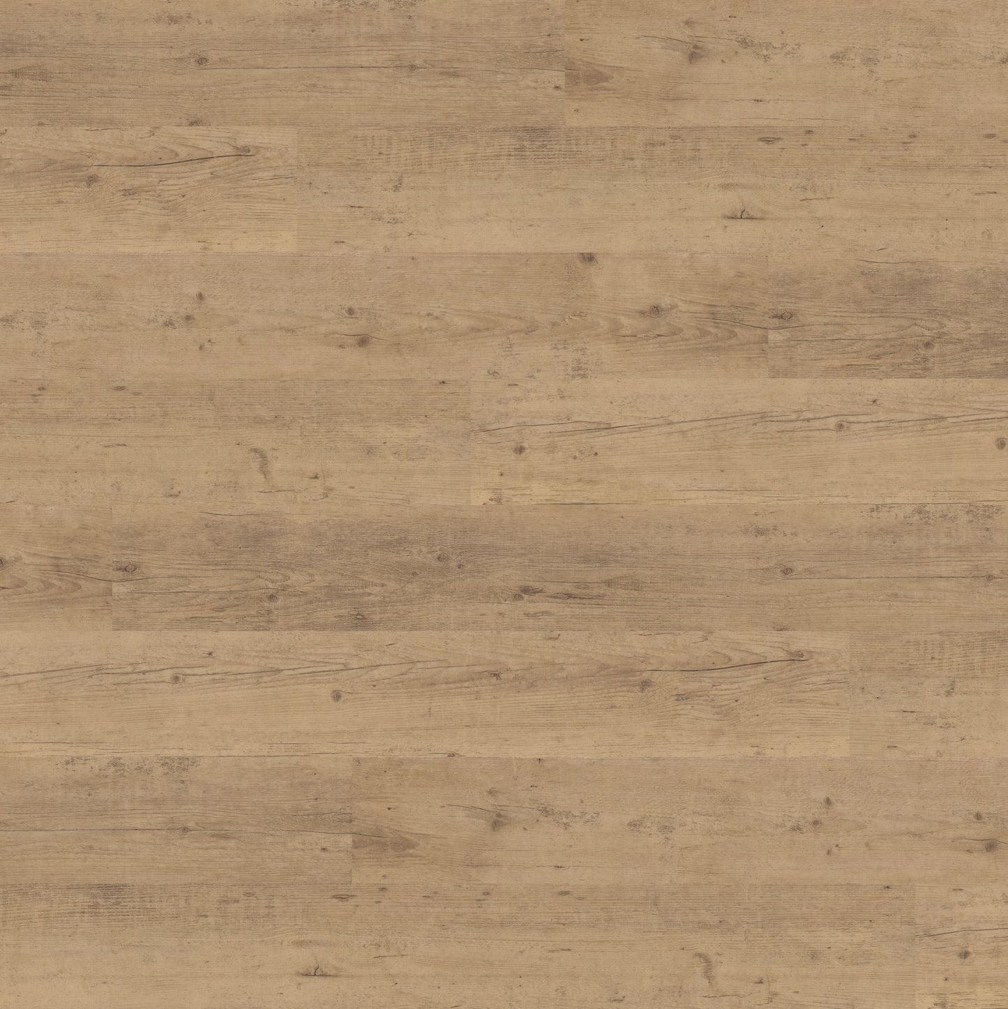 Polyflor Expona Commercial Shoreline Oak 4078