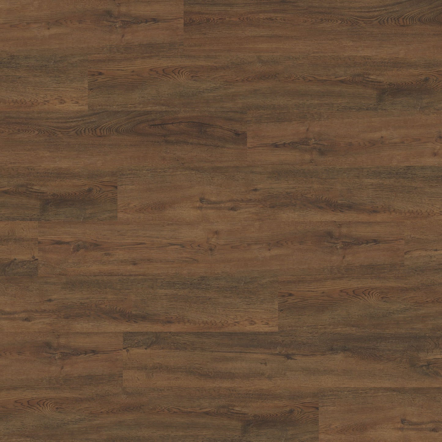 Polyflor Expona Commercial Roasted Oak 4079