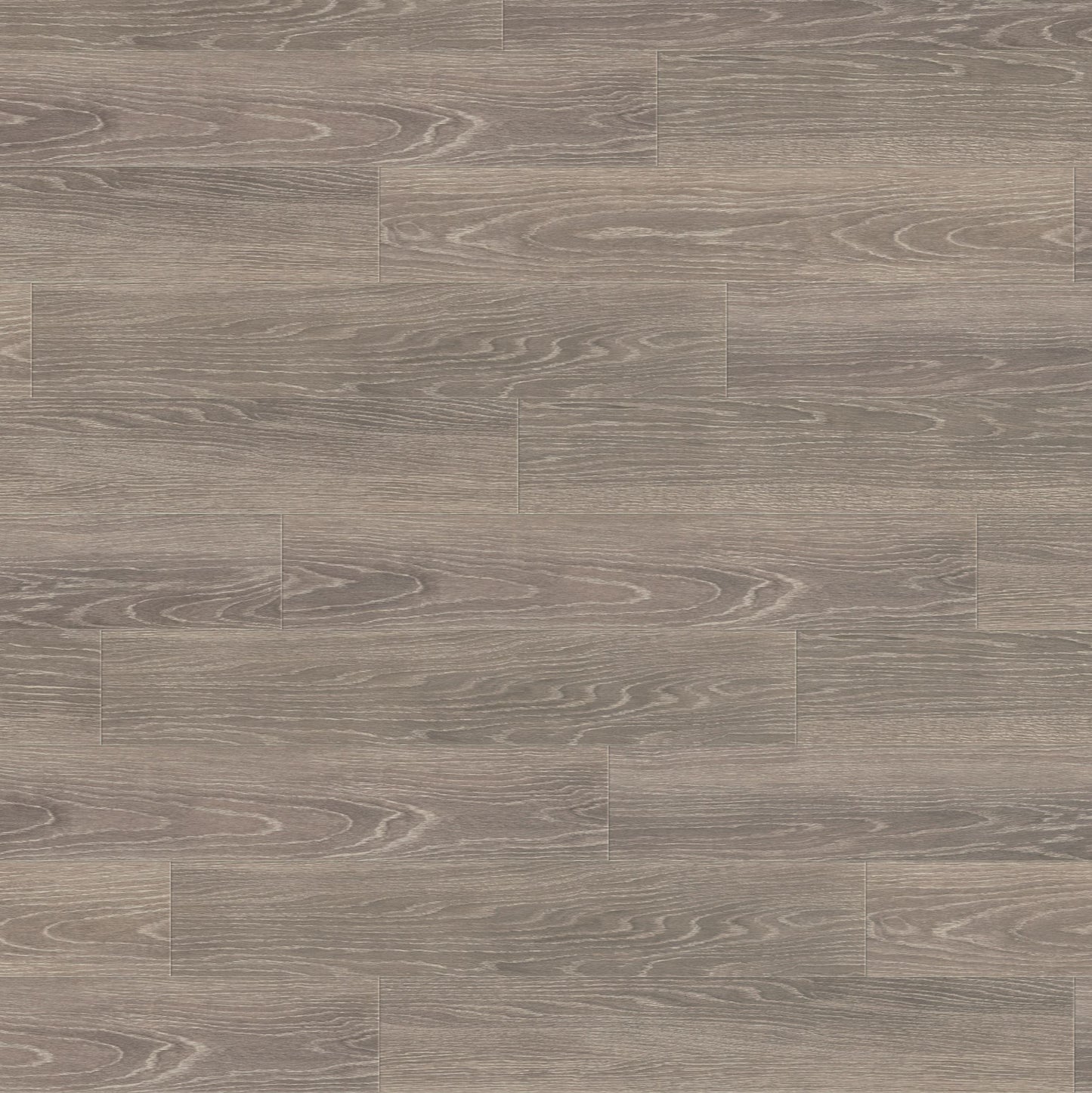 Polyflor Expona Commercial Grey Limed Oak 4082
