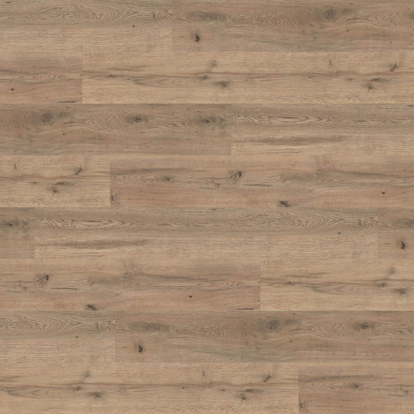 Polyflor Expona Commercial Oiled Oak 4098