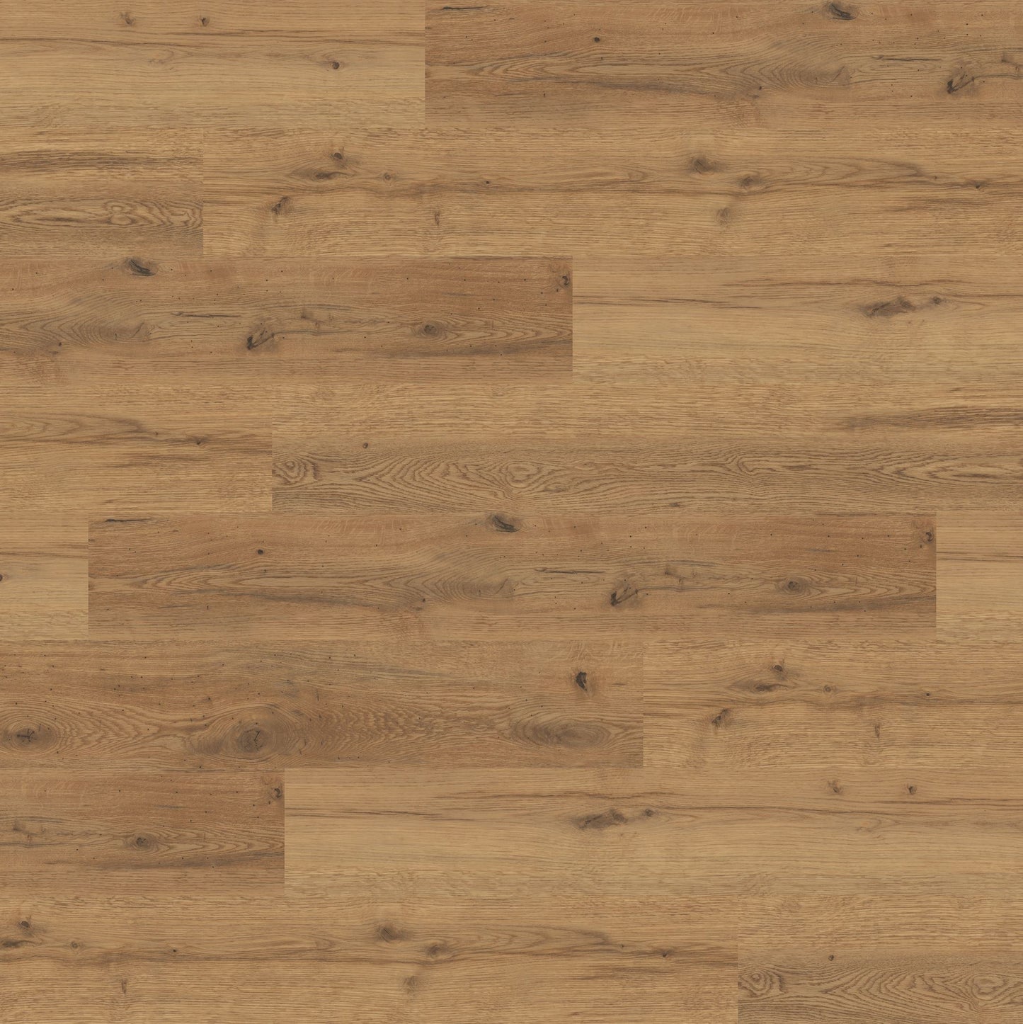 Polyflor Expona Commercial Sherwood Oak 4099