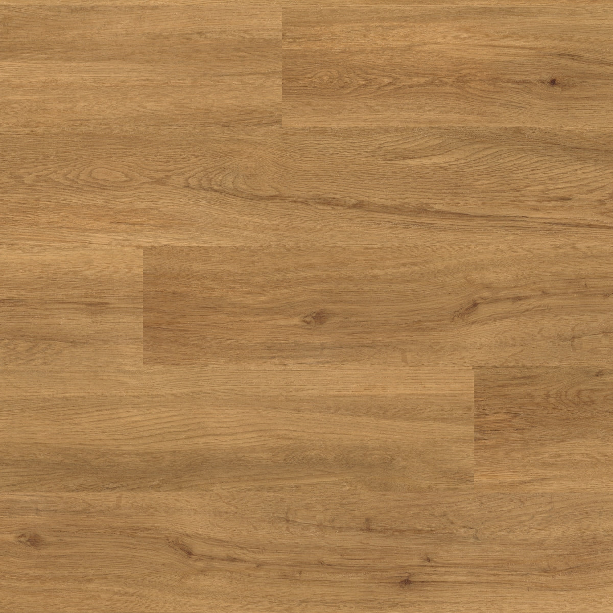 Polyflor Colonia Wood Schoolhouse Oak 4434