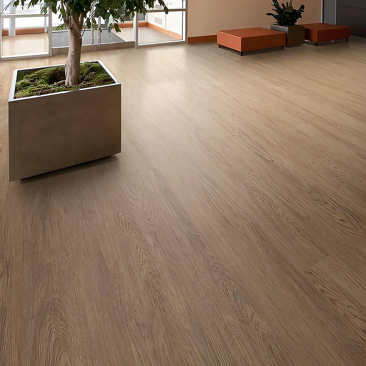 Polyflor Affinity 255 Hazel Oak 9879