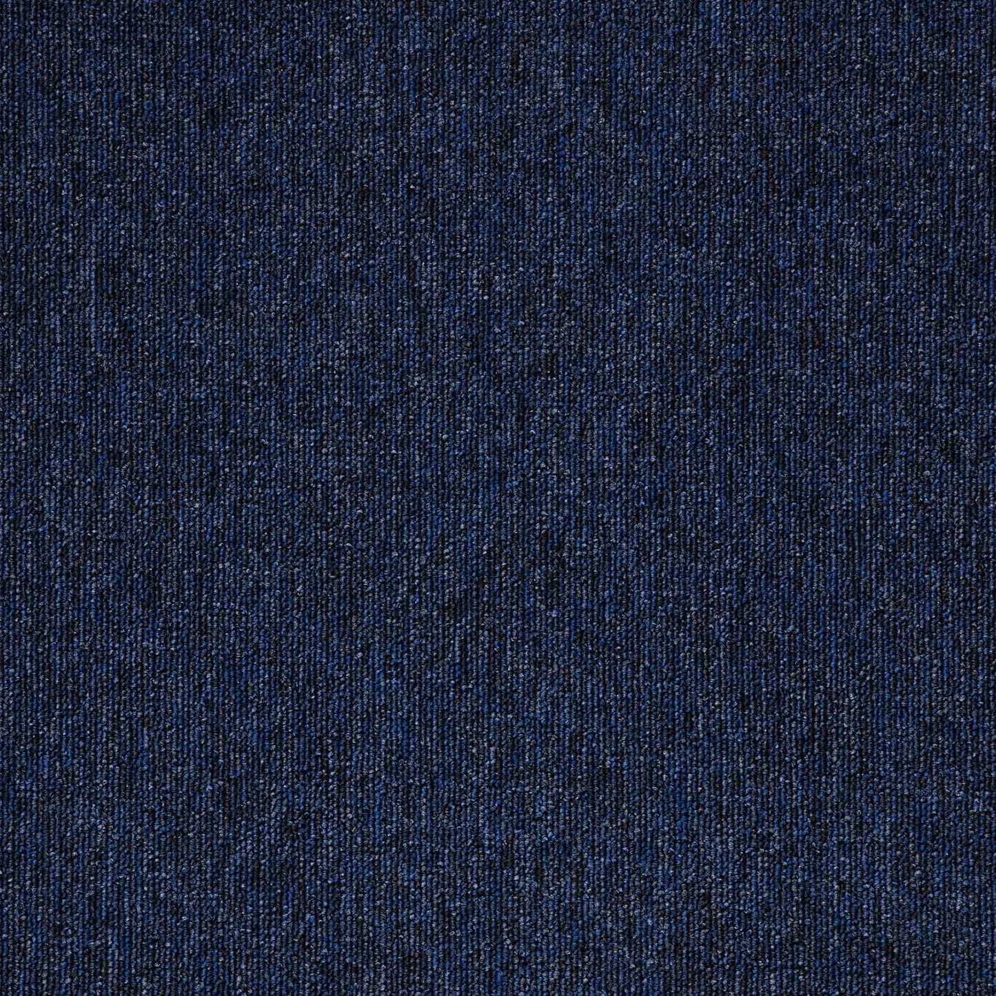 Paragon Macaw Carpet Tile Sapphire