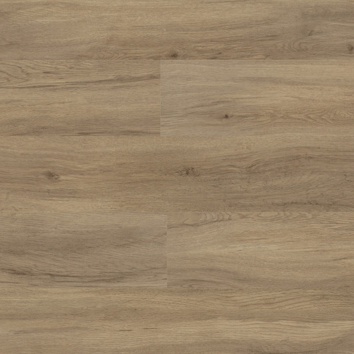 Polyflor Colonia Wood Coastal Driftwood 4453