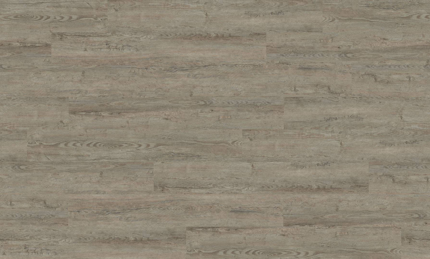 Polyflor Affinity 255 Seasoned Grey Oak 9884