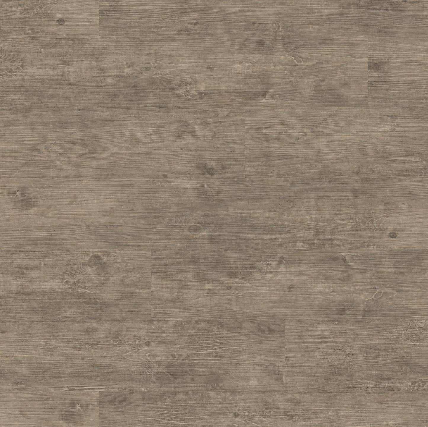 Polyflor Camaro Smoke Brushed Elm 2233