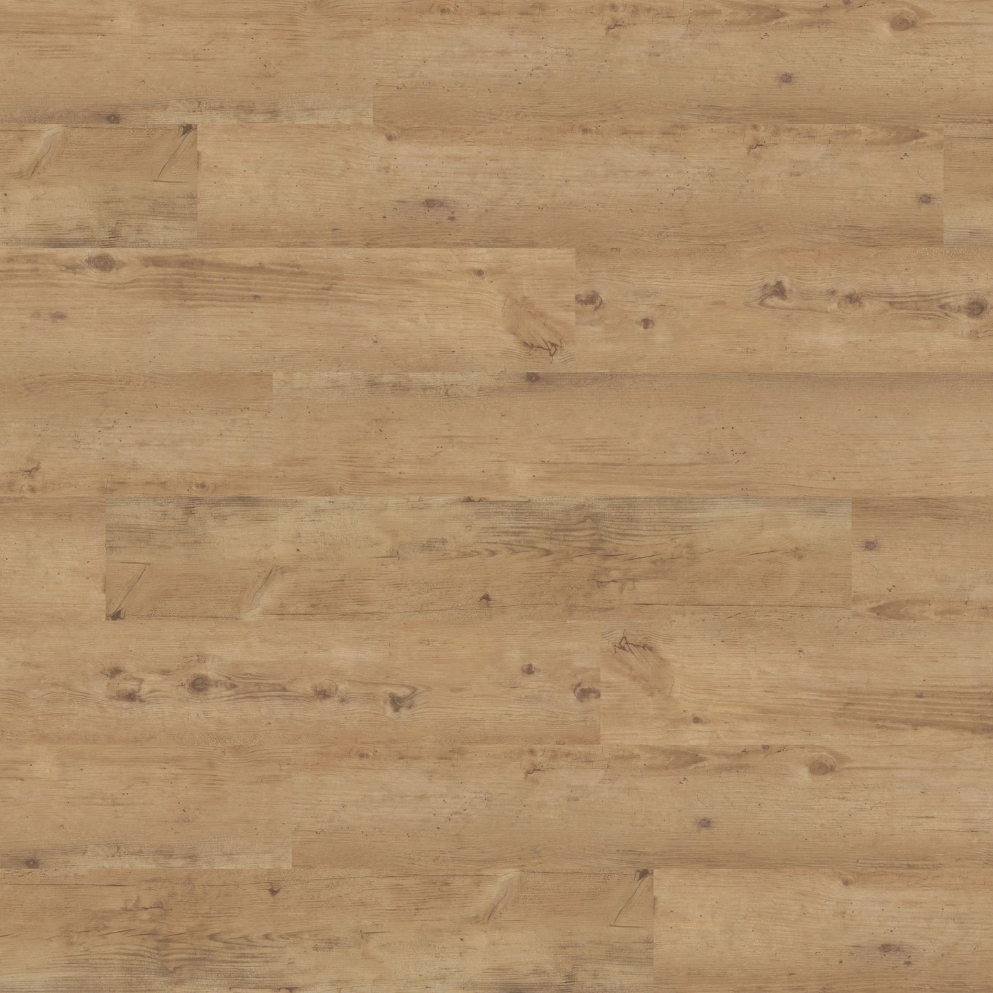 Polyflor Expona Commercial Blond Country Plank 4017
