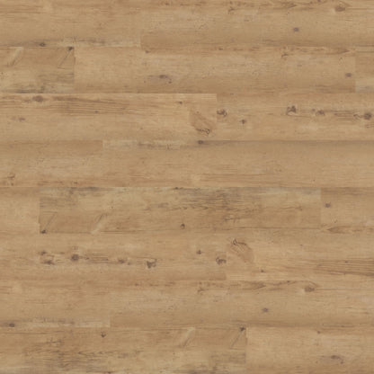 Polyflor Expona Commercial Blond Country Plank 4017