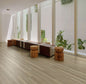Polyflor Expona Commercial Grey Ash 4020