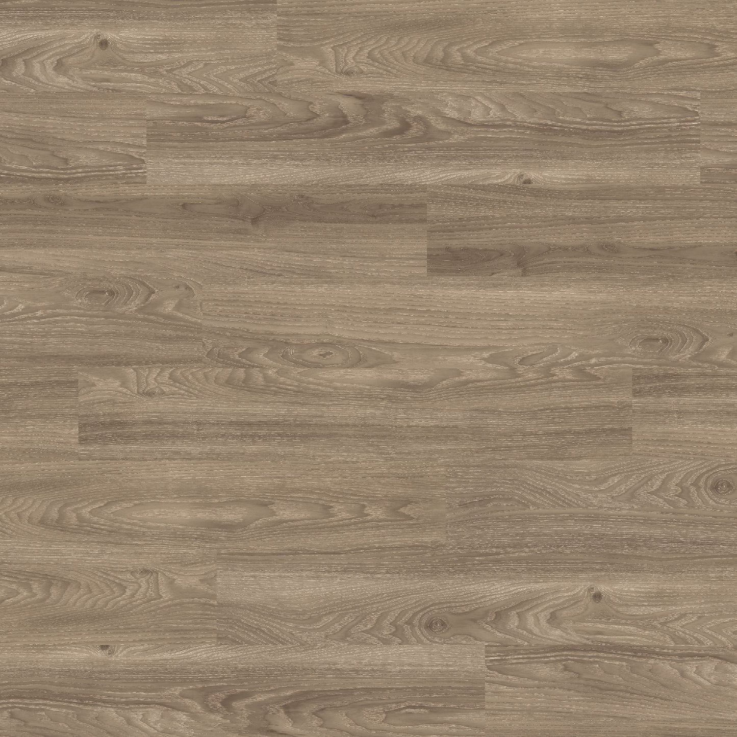 Polyflor Expona Commercial Light Elm 4034