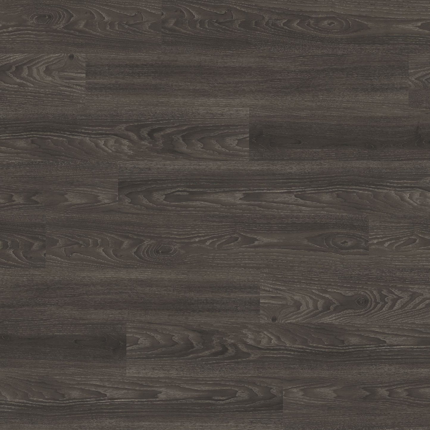 Polyflor Expona Commercial Black Elm 4035