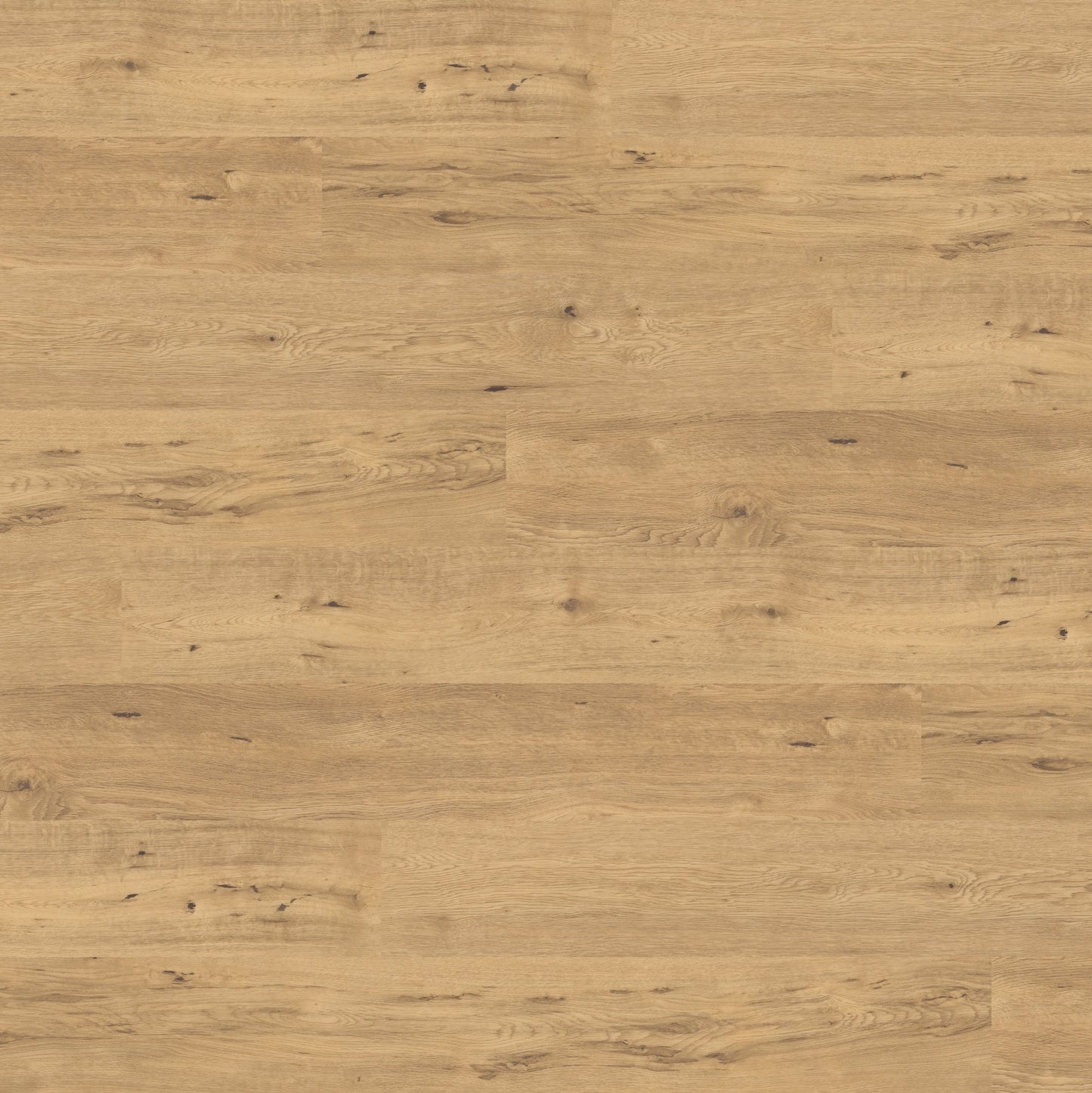 Polyflor Expona Commercial French Vanilla Oak 4058