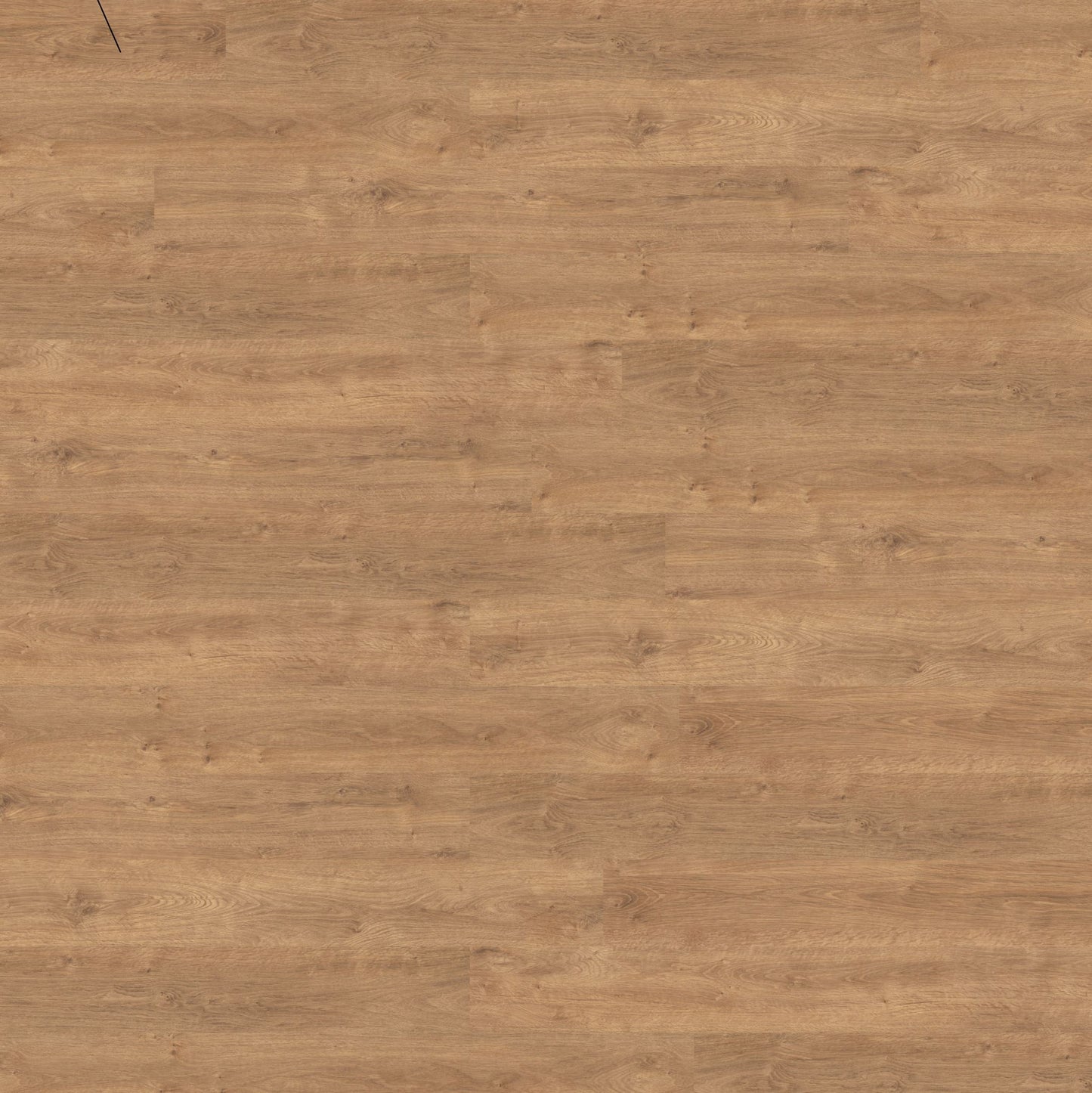 Polyflor Expona Commercial Light Classic Oak 4085