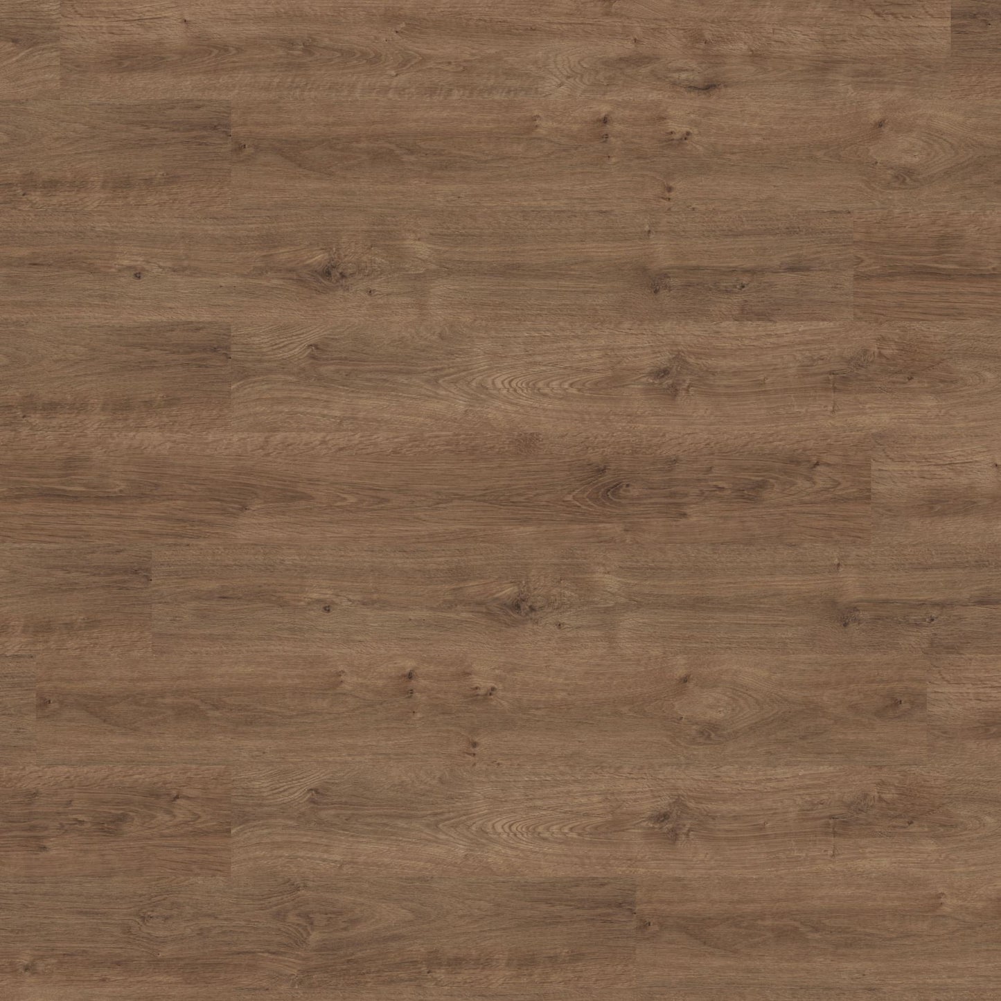 Polyflor Expona Commercial Amber Classic Oak 4087
