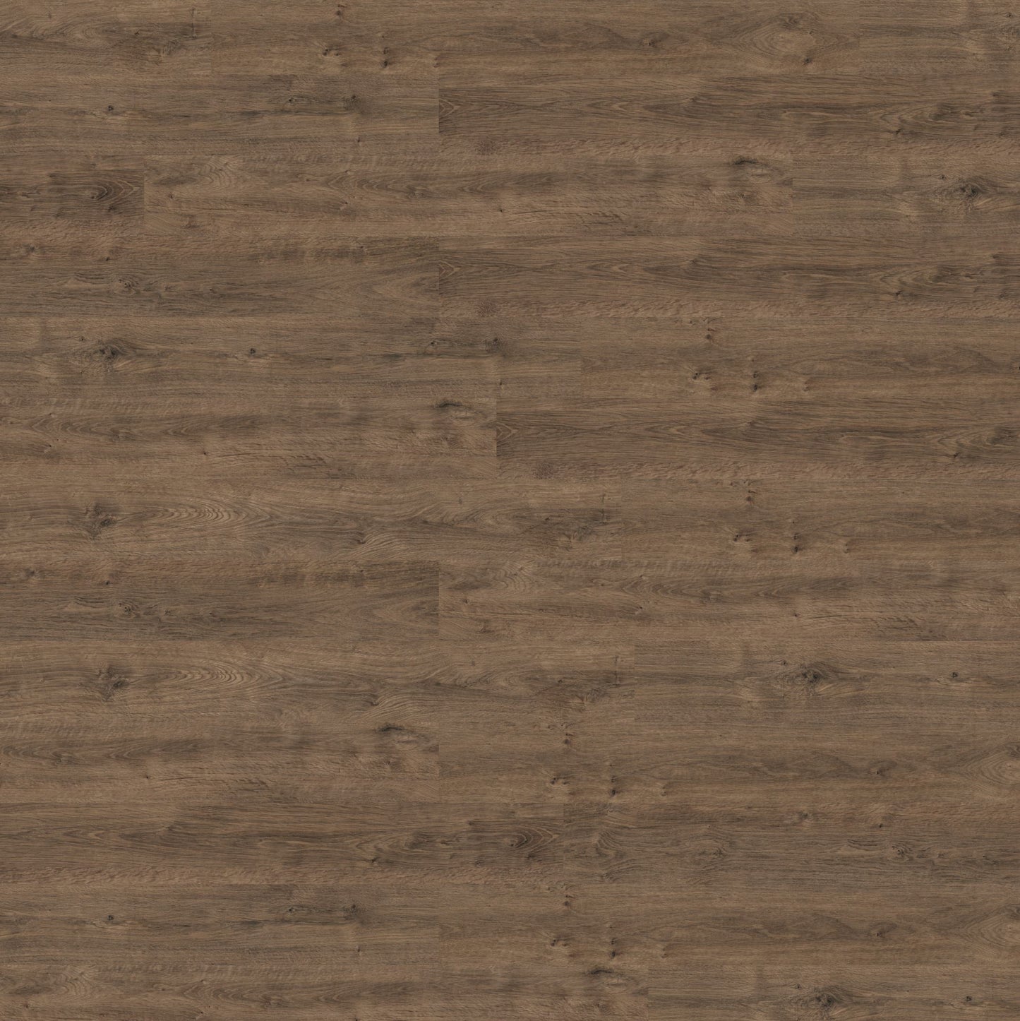 Polyflor Expona Commercial Dark Classic Oak 4088