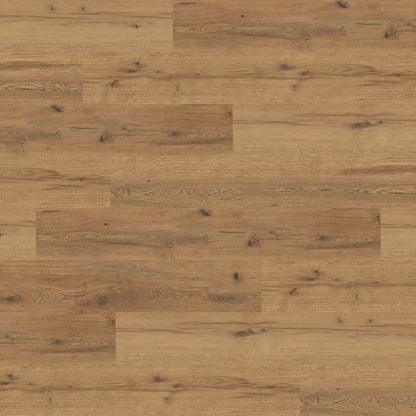Polyflor Expona Commercial Sherwood Oak 4099