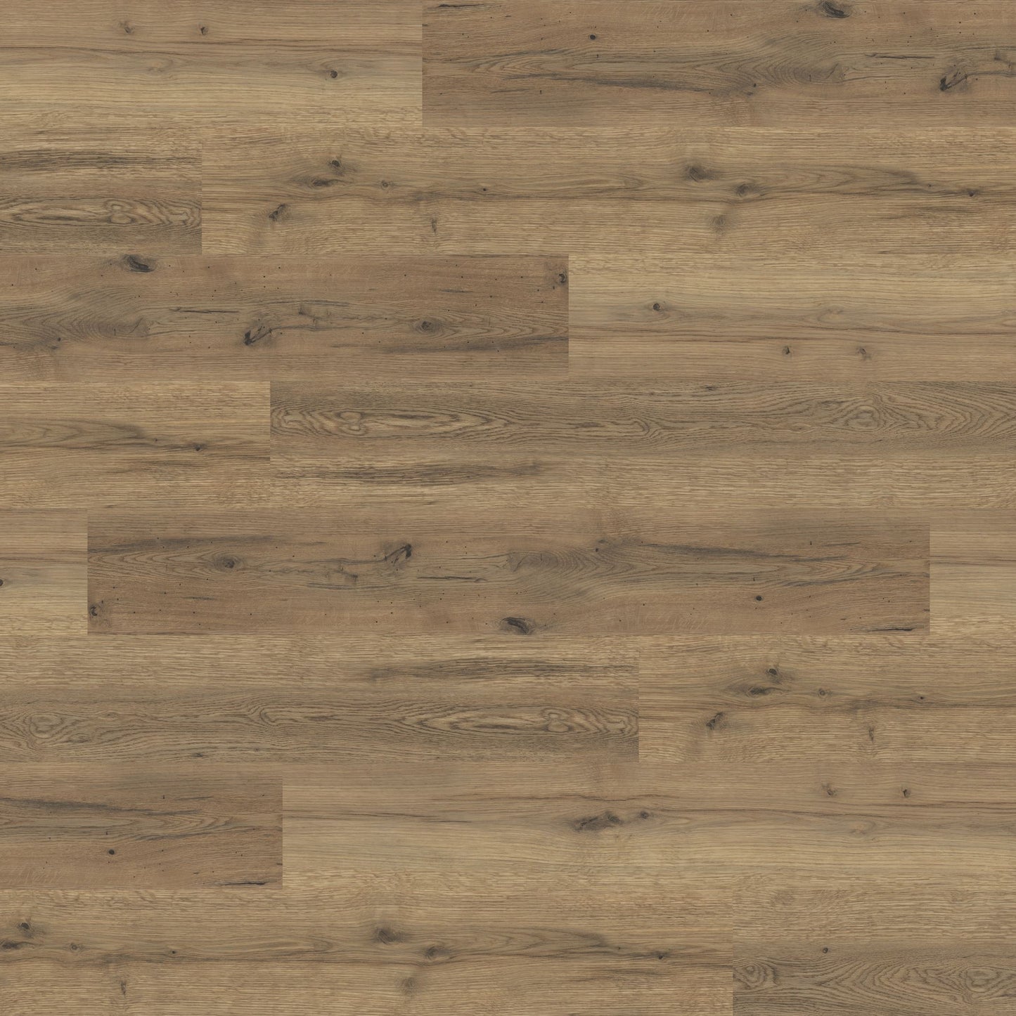 Polyflor Expona Commercial Everglade Oak 4101