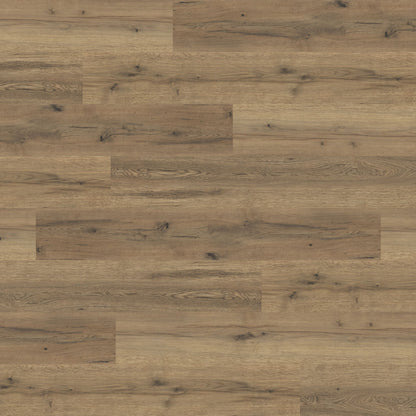 Polyflor Expona Commercial Everglade Oak 4101