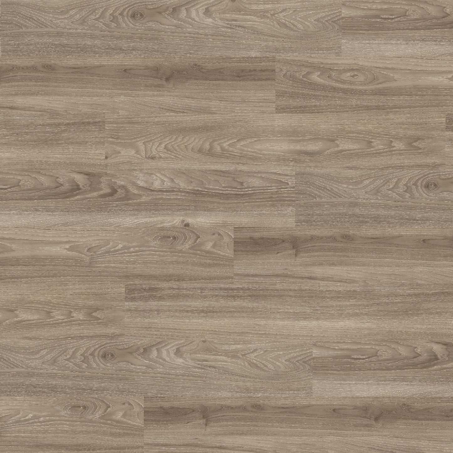 Polyflor Expona Design Light Elm 6182