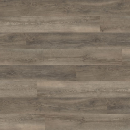 Polyflor Expona Design Promenade Oak 9038