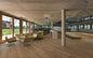 Polyflor Expona Commercial Amber Classic Oak 4087