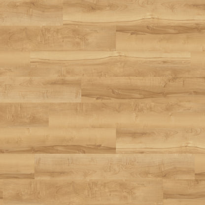 Polyflor Camaro Loc Apple Tree 3431