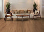 Polyflor Expona Commercial Classic Oak 1902