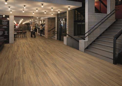 Polyflor Expona Bevel Line Enriched Variety Oak 2815
