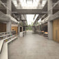 Polyflor Expona Commercial Light Grey Concrete 5067