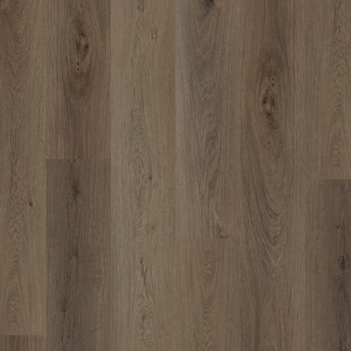 Polyflor Colonia Bowland Oak 4391