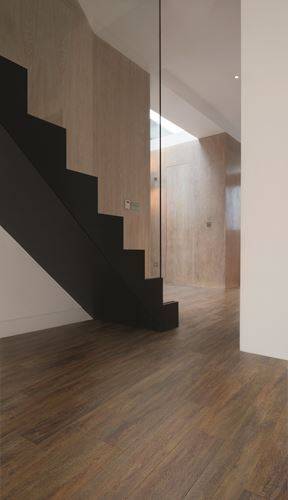 Polyflor Expona Commercial Roasted Oak 4079