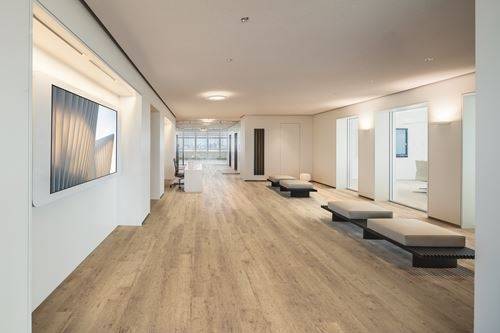 Polyflor Expona Commercial Shoreline Oak 4078