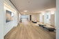 Polyflor Expona Commercial Shoreline Oak 4078