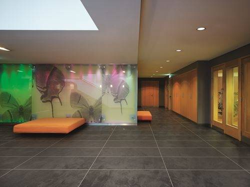 Polyflor Expona Commercial Urban Slate 5057