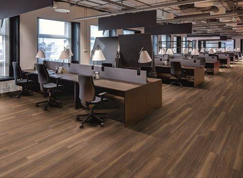 Polyflor Expona Commercial Warm Ash 4023