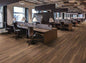 Polyflor Expona Commercial Warm Ash 4023