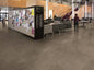 Polyflor Expona Commercial Warm Grey Concrete 5064